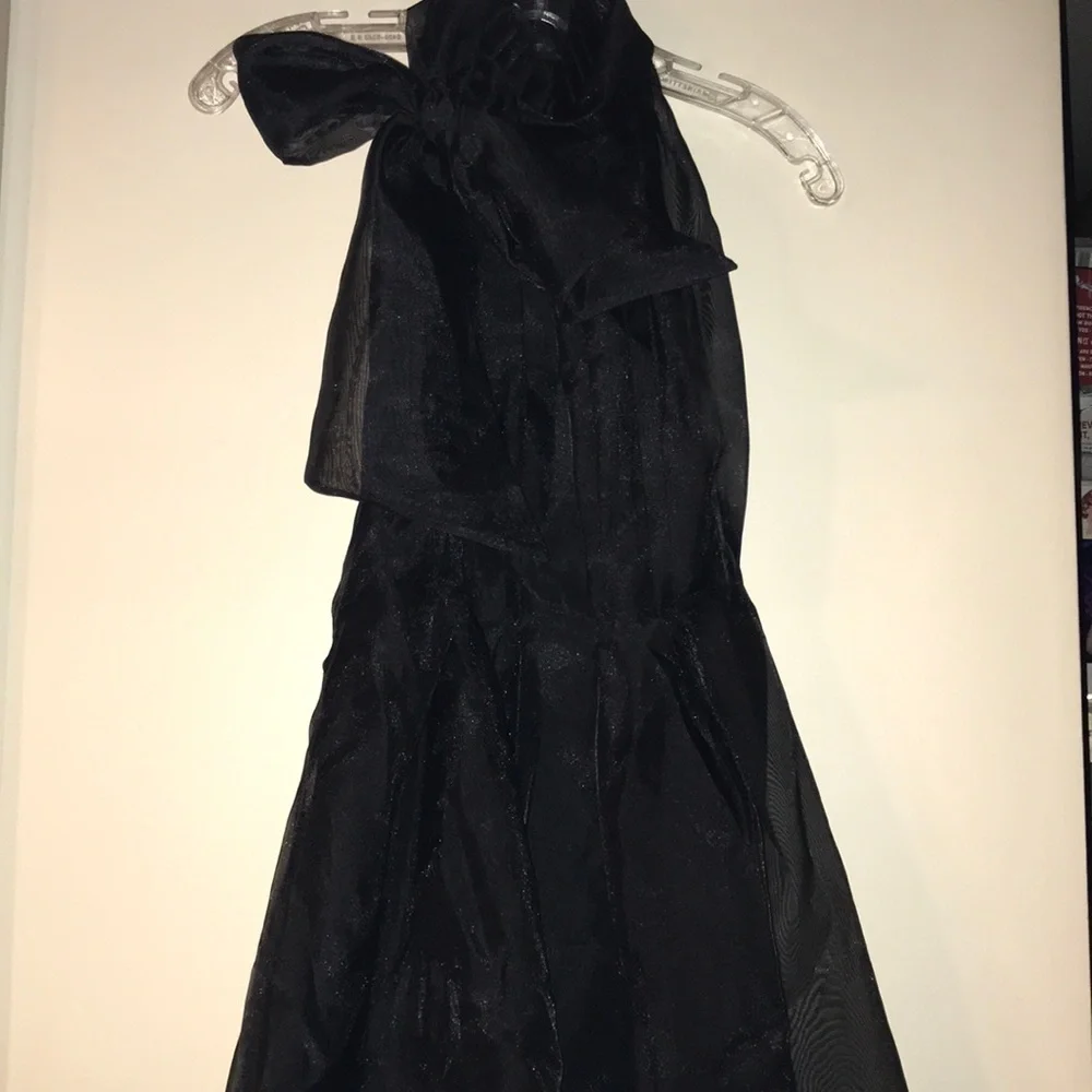 Zara Black Organza Dress - Picture 6 of 8
